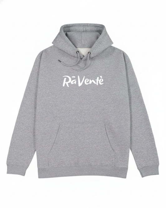 Hoodie W250 Arc Italic Gray Marle